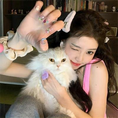 狐妖小红娘日语版 封面